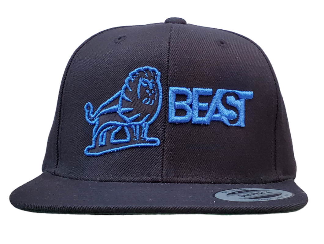 The Lion - Black Snapback (Various Graphic Colors)